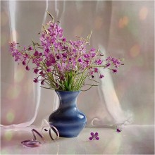 Blooming sally / ***