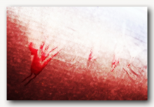 Red dragons / ***