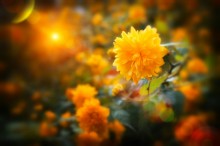 Spannweite / ---