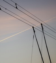 Linien / ***