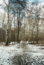 Spring Sketches / ***