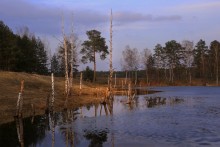 In the evening light / ***