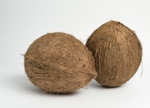 Coconuts / ***