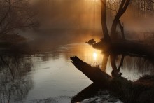 Morning on the river / -----