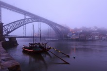 Nebel / ***