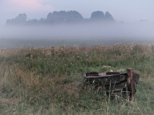Mist, fog ... / ***