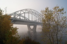 Nebliger Morgen / ***