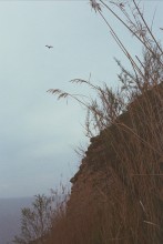 Soaring into the sky / ***