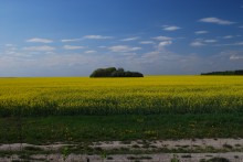 In blue-yellow tone. / ***