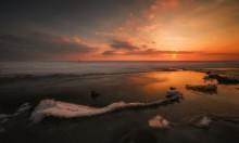 Spring Sea / ***