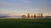 Misty Dawn / ***