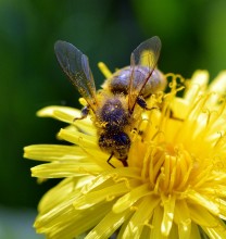 April Arbeit / ***