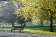 Frühling warten auf ihre Liebhaber! / ***