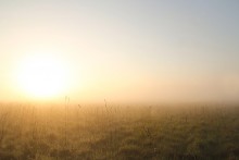 Misty Dawn / ***