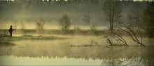 in silence / ***