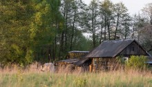 House in the village / ***