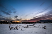Rural scenes / ***