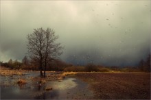 The smell of spring / *******