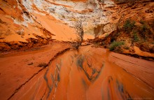 Martian landscape / ***