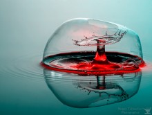 Splash &quot;Blase&quot; / ***