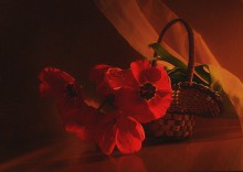 Happy Victory Day! / ***