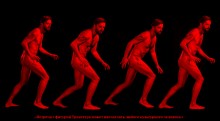 «Trickster» - scientific and cognitive series. «Trickster» - scientific and cognitive series. / ***