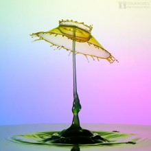 Splash / ***