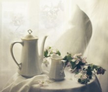 May the cat ... / ...............