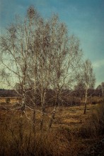 Spring mood / ***