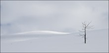 Loneliness / ***