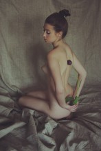 Flachs / ***