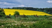 Nette Bilder seiner Heimat / ***
