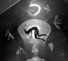 Fairy - photographica. / ...