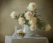 Peony :) .. / ...