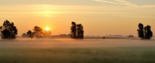 A carpet of fog. / A foggy sunrise in my region.