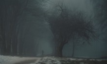 &nbsp; / ***