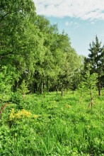 Towards a greener world / ***