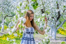 in blooming gardens and gentle colors May / ***