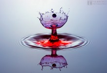 Splash "full cup" / ***