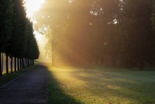 Morgen Strahlen / ***
