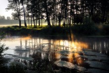 Misty morning .. 2. / *********************