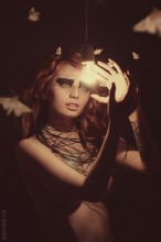 Moth / ...
