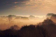 Dawn paints / ...