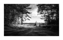Landschaft in Schwarz-Weiß / ***