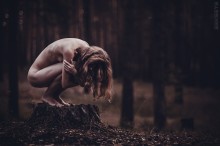 Forest / ...