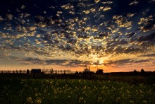 Evening sunset / ***