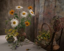 Summer in the old house ... / ...