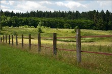 Fence / ***