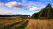 September evening / ***
