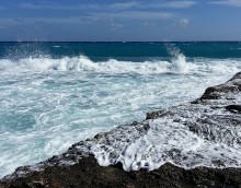 Cream in the Caribbean ... / ***